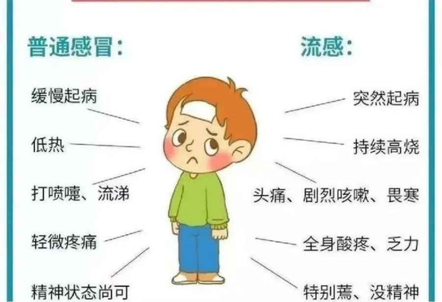 微信图片_20241202164414.png