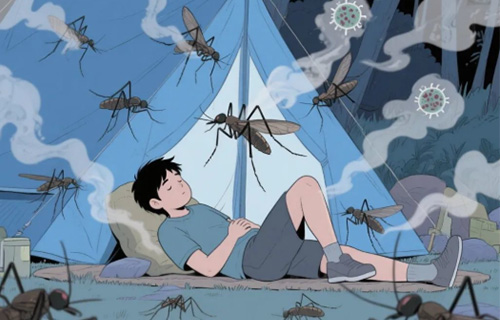 长春医声丨盛夏出游需警惕！虫媒传染病预防指南送给你